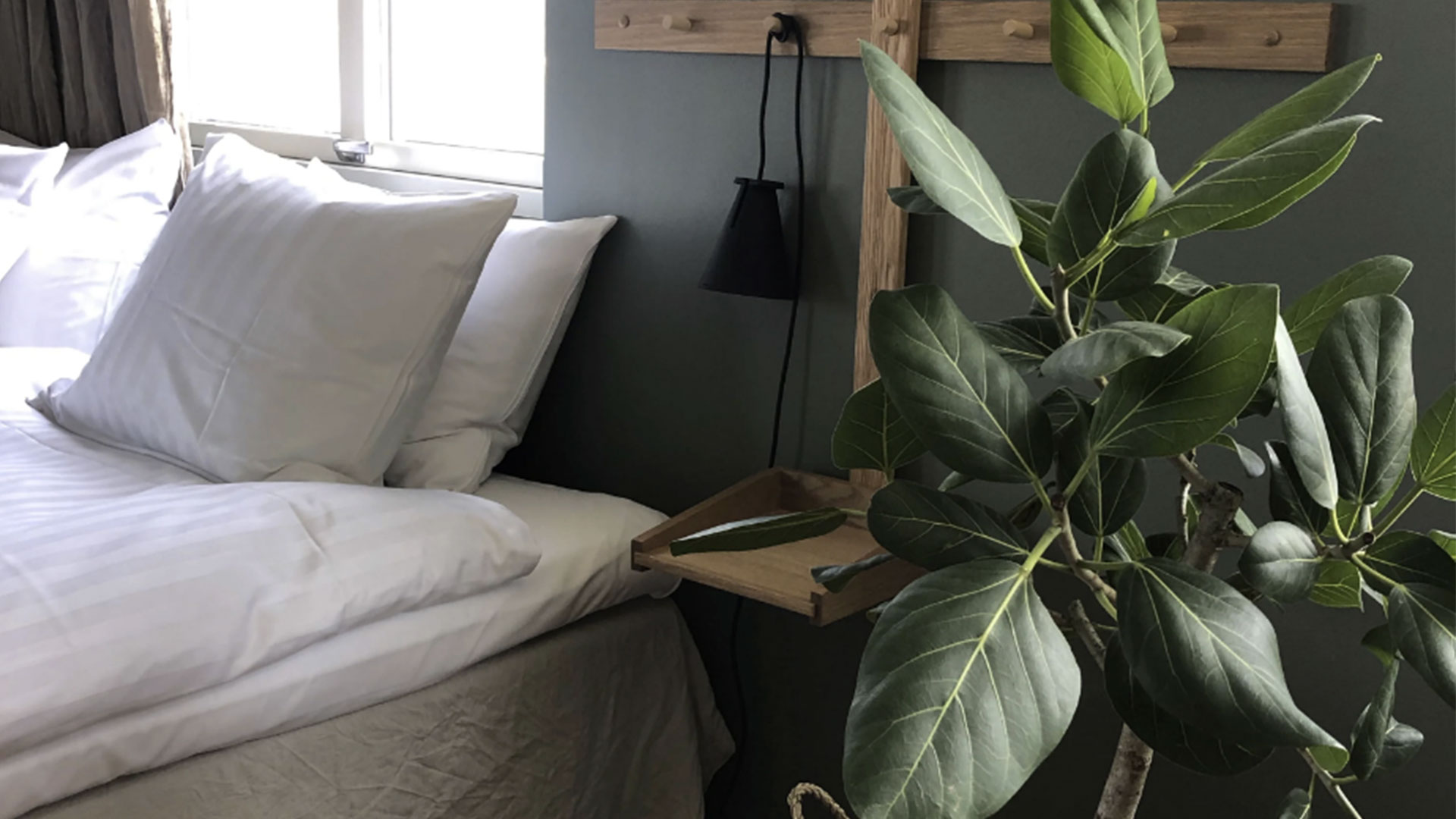 Hotellrum med säng och grön växt